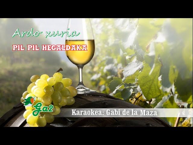 Ardo xuria (Pil pil hegaldaka) bideoaren irudi txikia