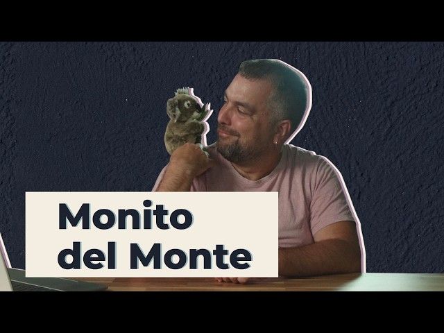 Monito del Monte | 22 | GURE ARBASOAK bideoaren irudi txikia