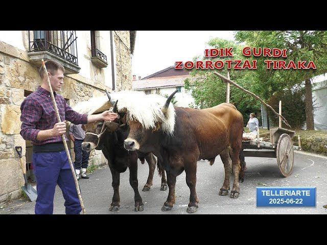 Idik gurdi zorrotzai tiraka (Telleriarte, 2025-06-22) (14'15'') bideoaren irudi txikia