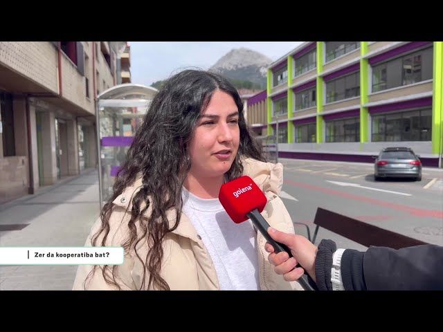Inkesta: zer da kooperatiba bat? bideoaren irudi txikia