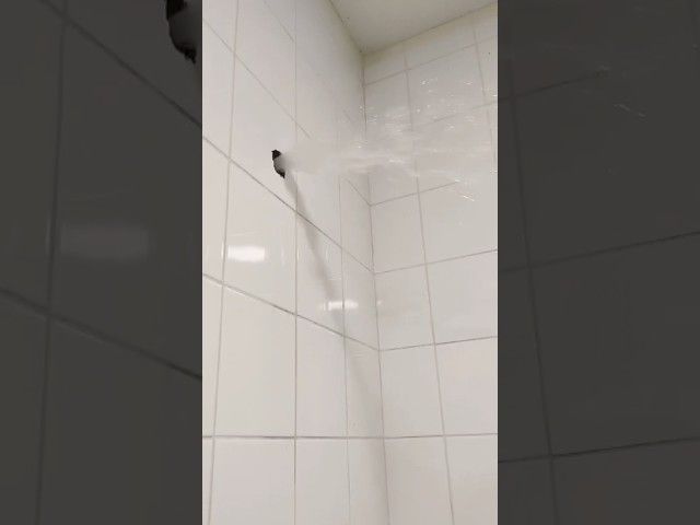 ⛸️ Gasteizko izotz pistaren egoera kaxkarra salatu dute bideoaren irudi txikia
