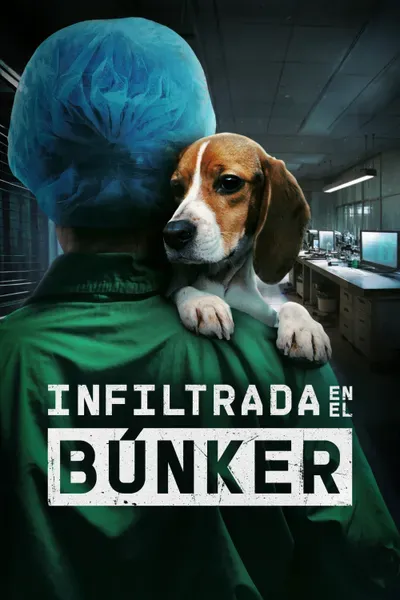 Bunkerrean infiltratua