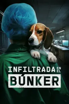 Bunkerrean infiltratua edukiaren posterra