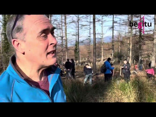 Bertoko espezieen 300 zugatz landatu ditue Areatzako Zugatz Egunean bideoaren irudi txikia