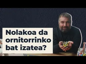 Nolakoa da ornitorrinko bat izatea? | 23 | GURE ARBASOAK edukiaren irudi txikia