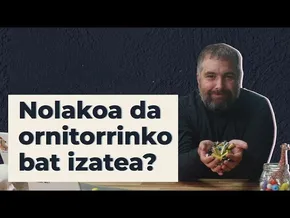 Nolakoa da ornitorrinko bat izatea? | 23 | GURE ARBASOAK bideoaren irudi txikia