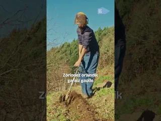30 de octubre de 2026 edukiaren irudi txikia