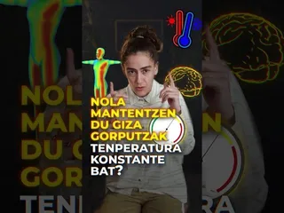 Nola mantentzen du giza gorputzak tenperatura konstante bat? edukiaren irudi txikia