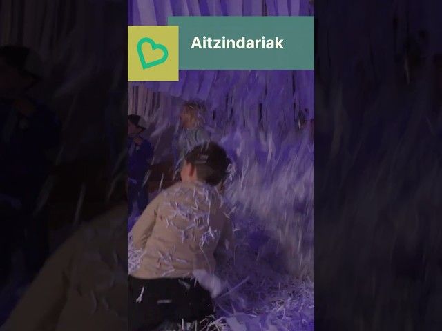 Betiko balioak, proiektu aitzindarien bidez bideoaren irudi txikia