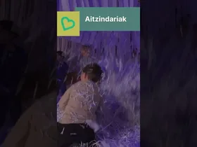 Betiko balioak, proiektu aitzindarien bidez edukiaren irudi txikia