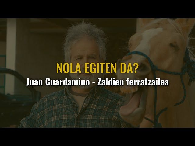 Nola egiten da? | Juan Guardamino zaldi ferratzailea bideoaren irudi txikia