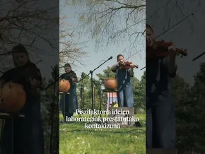 Loraldia: Goroldiorik ez ibilaldia bideoaren irudi txikia