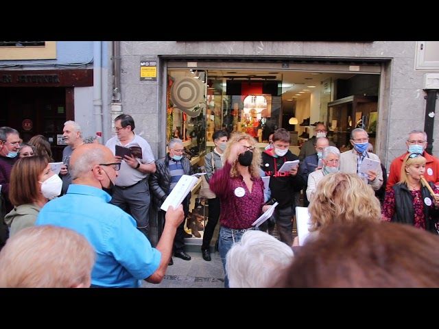 Tolosa Kantari Musikherrian bideoaren irudi txikia
