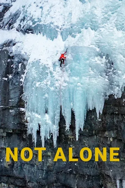 Not Alone 