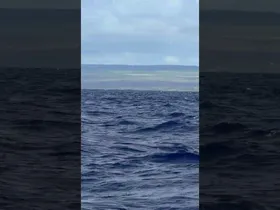Kaiwi Channel ·MOLOKA´I edukiaren irudi txikia