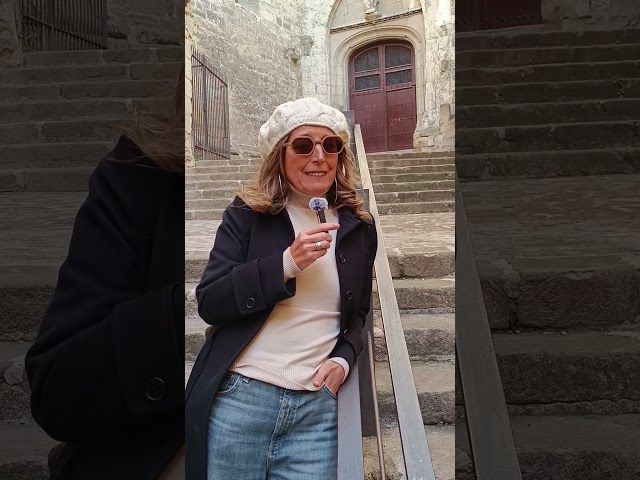 📽️ Gasteiz Anitza ha organizado unas jornadas sobre diversidad, antirracismo y convivencia. bideoaren irudi txikia