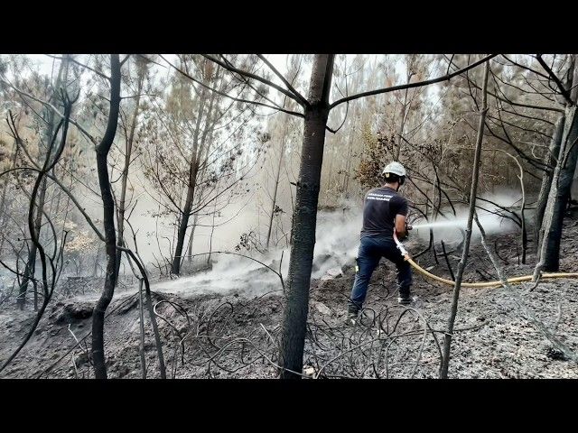 Llantenoko sutea barrutik bideoaren irudi txikia