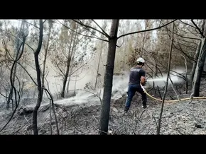 Llantenoko sutea barrutik bideoaren irudi txikia