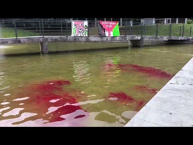 Gizartea | Palestinako genozidioa salatzeko «ekintza sinbolikoa» egin dute Intxaurrondon bideoaren irudi txikia