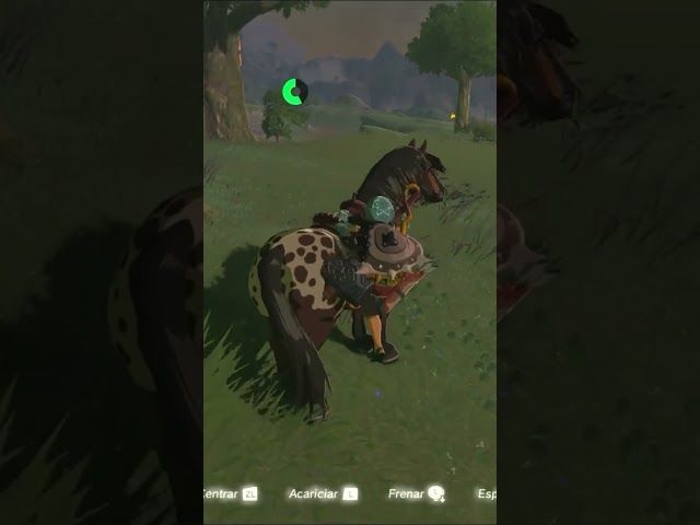 EZPATA NAGUSIA | ZELDA BREATH OF THE WILD | #28 | BYKUGGAN KIDS | SHORT #6 #zelda #botw #totk bideoaren irudi txikia