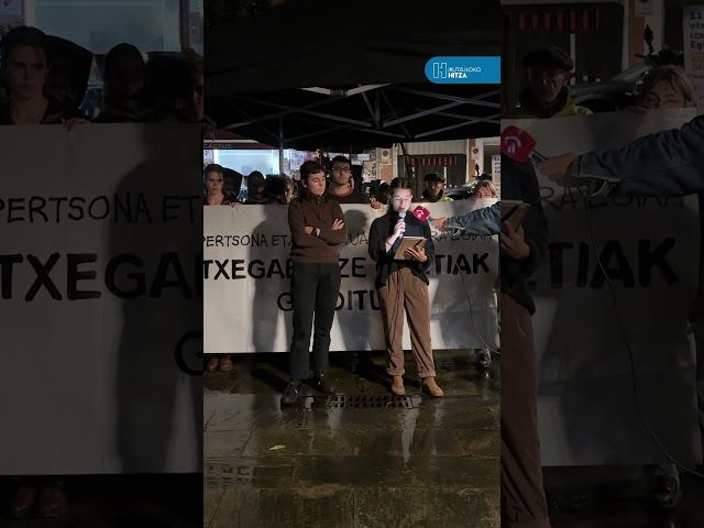 Etxegabetzearen kontrako elkarretaratzea, Egian bideoaren irudi txikia