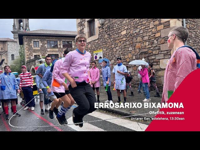 Errosarixo bixamona: Zuzenean bideoaren irudi txikia