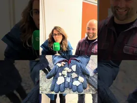 Gaztelü mendiko ikerketaren aurkezpena 13 erreportajea edukiaren irudi txikia