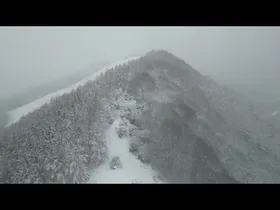 Irimo elurretan edukiaren irudi txikia