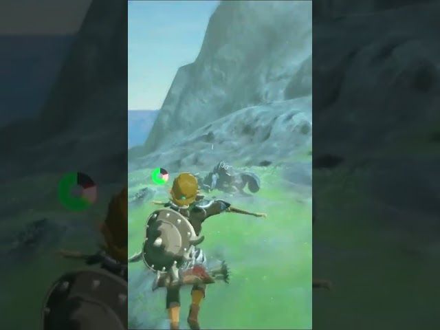 SUMENDIRAKO BIDEAN | ZELDA BREATH OF THE WILD | #14 | BYKUGGAN KIDS | SHORT #3  #zelda #botw #totk bideoaren irudi txikia