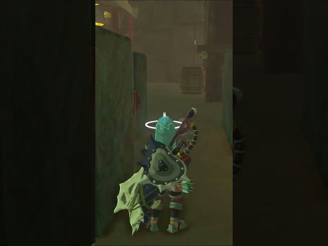 YIGGA TALDEA | ZELDA BREATH OF THE WILD | #26 | BYKUGGAN KIDS | SHORT #10 #zelda #botw #totk bideoaren irudi txikia