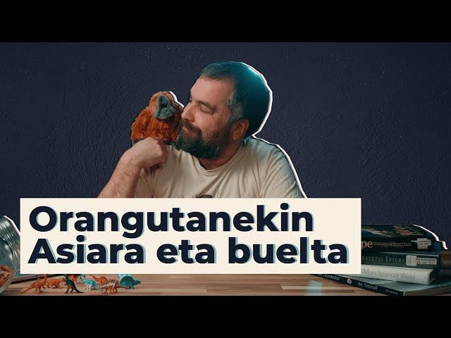 Orangutanekin Asiara eta buelta | 10 | GURE ARBASOAK bideoaren irudi txikia