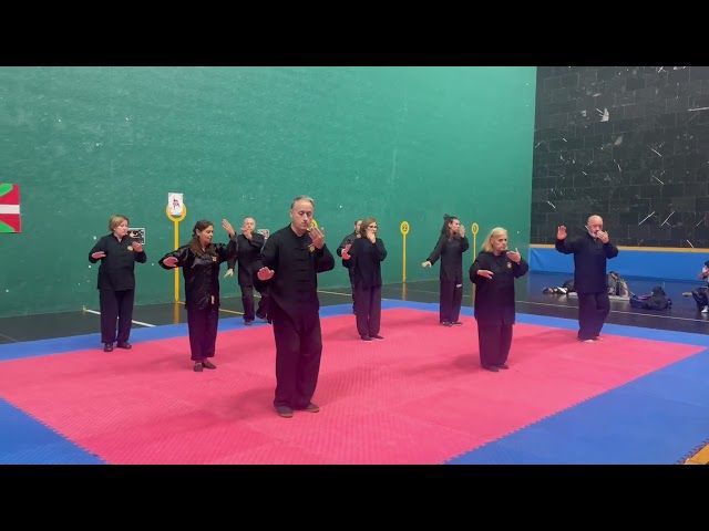 Wushu-Kung Fu jardunaldia Beasainen bideoaren irudi txikia