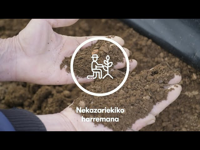 Errigora Balioak identifikatzailea bideoaren irudi txikia