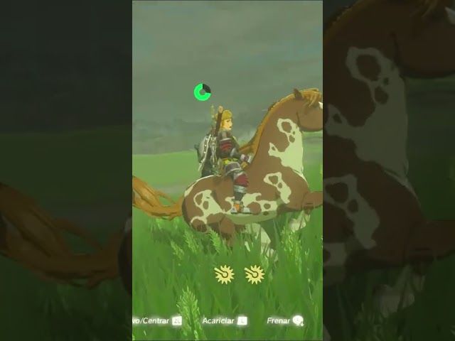 DORREZ DORRE | ZELDA BREATH OF THE WILD | #19 | BYKUGGAN KIDS | SHORT #10 #zelda #botw #totk bideoaren irudi txikia