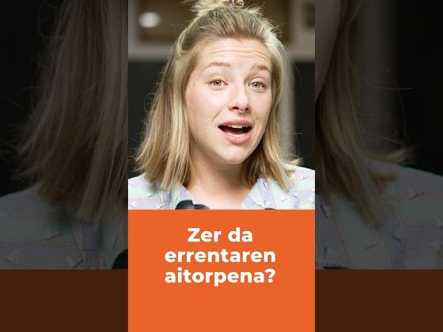 👀 Zer da errentaren aitorpena? bideoaren irudi txikia