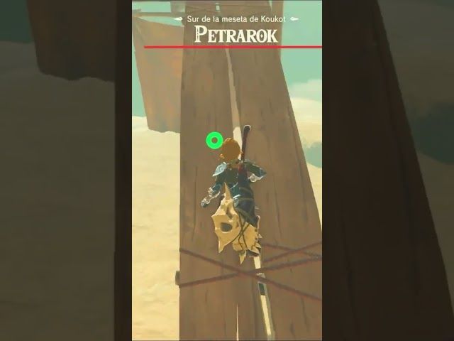 BASAMORTUAN MURGILTZEN | ZELDA BREATH OF THE WILD | #25 | BYKUGGAN KIDS | SHORT #3 #zelda #botw bideoaren irudi txikia