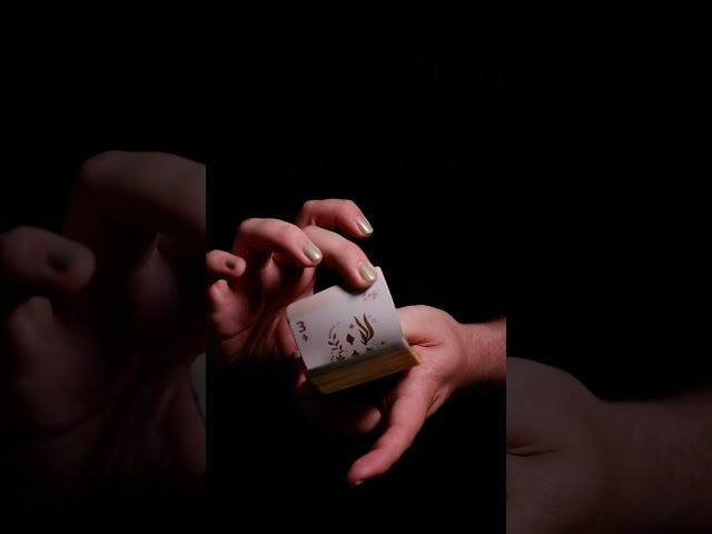 Baraja Bereziak VIII - Igarabak bideoaren irudi txikia