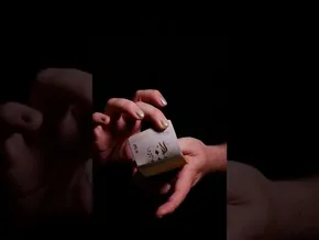 Baraja Bereziak VIII - Igarabak bideoaren irudi txikia