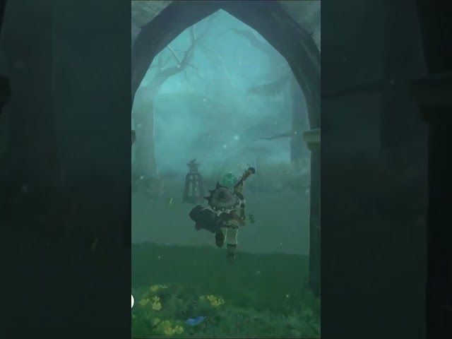 EZPATA NAGUSIA | ZELDA BREATH OF THE WILD | #28 | BYKUGGAN KIDS | SHORT #8 #zelda #botw #totk bideoaren irudi txikia
