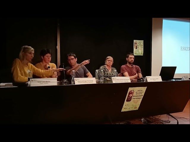 OEE 33. Hitzaldia: galdera-erantzunak bideoaren irudi txikia