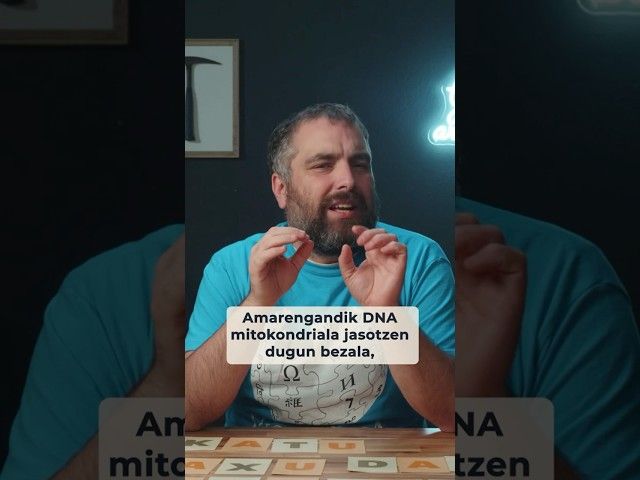 👀 X edo Y bideoaren irudi txikia