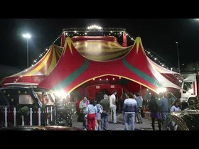 25/11/14 Gure Zirkuaren irekiera edukiaren irudi txikia