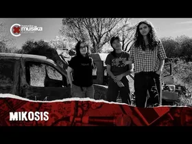 MusikaZuzenean TB #336: MIKOSIS edukiaren irudi txikia