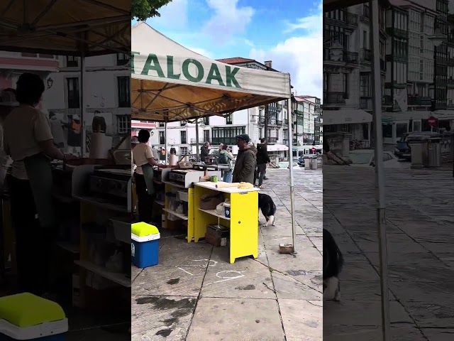 📍Lekeitio [GIZARTEA] 🌬️ ’Iparraldeko Haizeak’ ekimena ospatu dute Lekeition. bideoaren irudi txikia