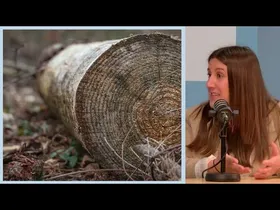 Arantzazu Saratxaga de Isla Amurrioko zinegotziari eginiko elkarrizketa, osorik edukiaren irudi txikia