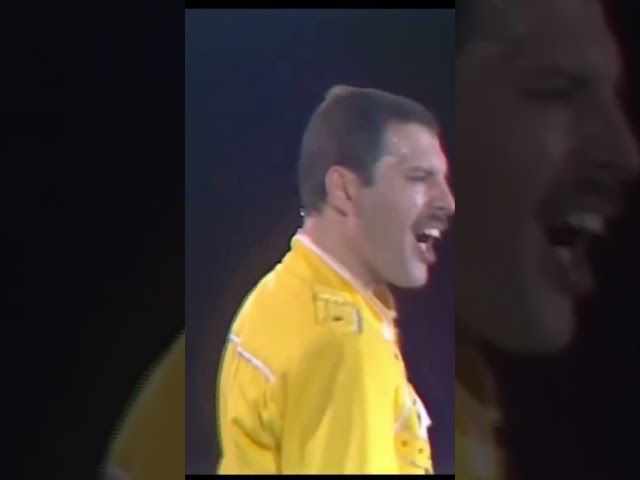 Moko Double Polaines bideoaren irudi txikia