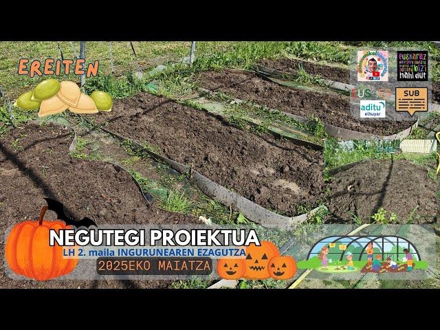 🎃 Kalabazak ereiten MAIATZEAN | Gau Beltzerako prest! | Negutegi proiekt #5 | Ingurune LH 1. 2.maila bideoaren irudi txikia