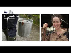 UR ETA LUR 26 06 16 AROZ BERRI I BAZKALEKUAK I BARRASKILOERN EKOIZPENA edukiaren irudi txikia