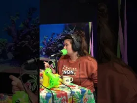 𝗕-𝗔𝗟𝗘𝗔 | 𝗢𝗜𝗛𝗔𝗡𝗔 𝗔𝗥𝗔𝗡𝗔: '𝐔𝐬𝐭𝐞 𝐝𝐮𝐭 𝐬𝐨𝐫𝐭𝐳𝐚𝐢𝐥𝐞 𝐠𝐮𝐳𝐭𝐢𝐨𝐤 𝐝𝐚𝐮𝐤𝐚𝐠𝐮𝐥𝐚 𝐩𝐚𝐫𝐭𝐞 𝐞𝐠𝐨𝐳𝐞𝐧𝐭𝐫𝐢𝐤𝐨 𝐛𝐚𝐭...' edukiaren irudi txikia