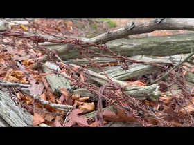 Ibilaldia Ataungo Domoan barrena. edukiaren irudi txikia